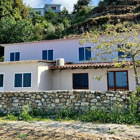 Residence Villa Denny&Villa Kate Borsh Zewnętrze zdjęcie