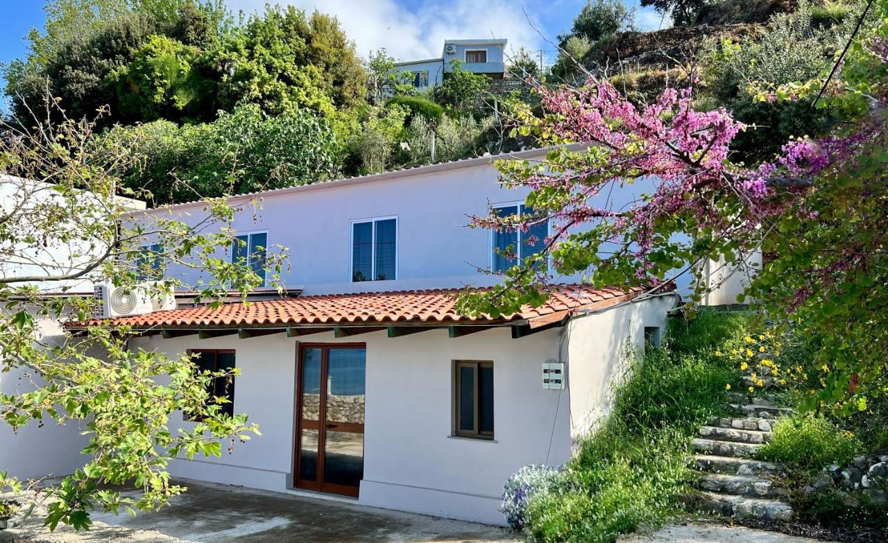 Residence Villa Denny&Villa Kate Borsh Zewnętrze zdjęcie